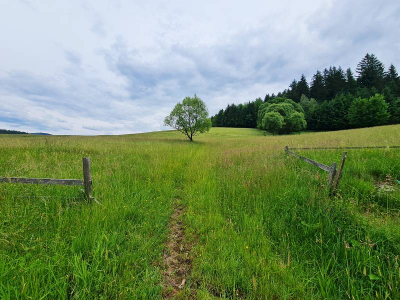 Prodazha Dachi, Dachi, Čadca, Slovakia