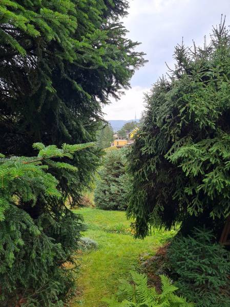 Prodazha Stroitelstvo-domov, Stroitelstvo-domov, Tavarikova osada, Bra