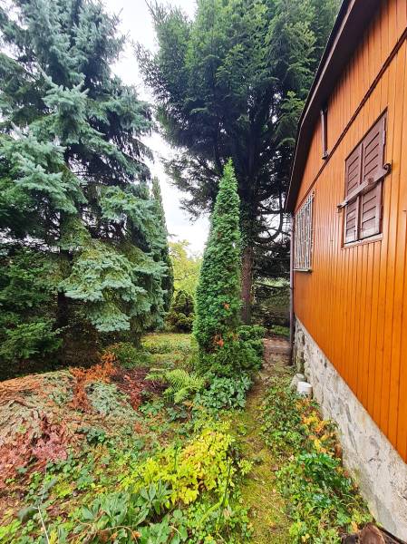 Prodazha Stroitelstvo-domov, Stroitelstvo-domov, Tavarikova osada, Bra