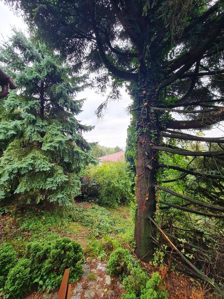 Prodazha Stroitelstvo-domov, Stroitelstvo-domov, Tavarikova osada, Bra