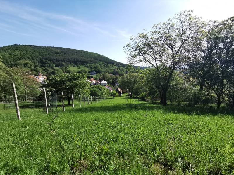 Prodazha CHastnye-doma, CHastnye-doma, Nirtrianske Sučany, Prievidza, 