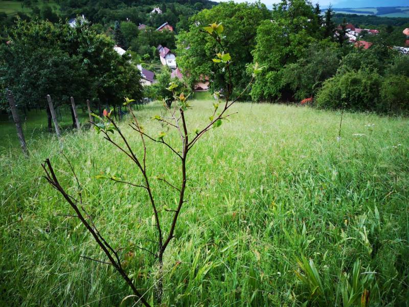 Prodazha CHastnye-doma, CHastnye-doma, Nirtrianske Sučany, Prievidza, 