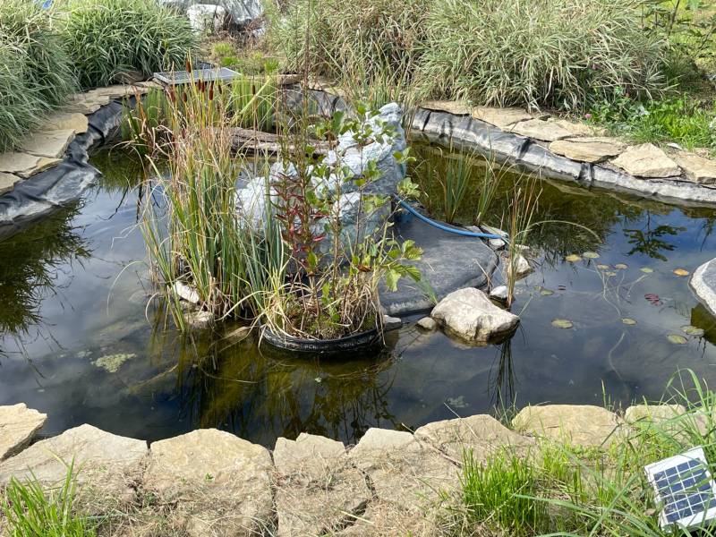 Prodazha Sadovye-uchastki, Sadovye-uchastki, Bratislava - Devínska Nov