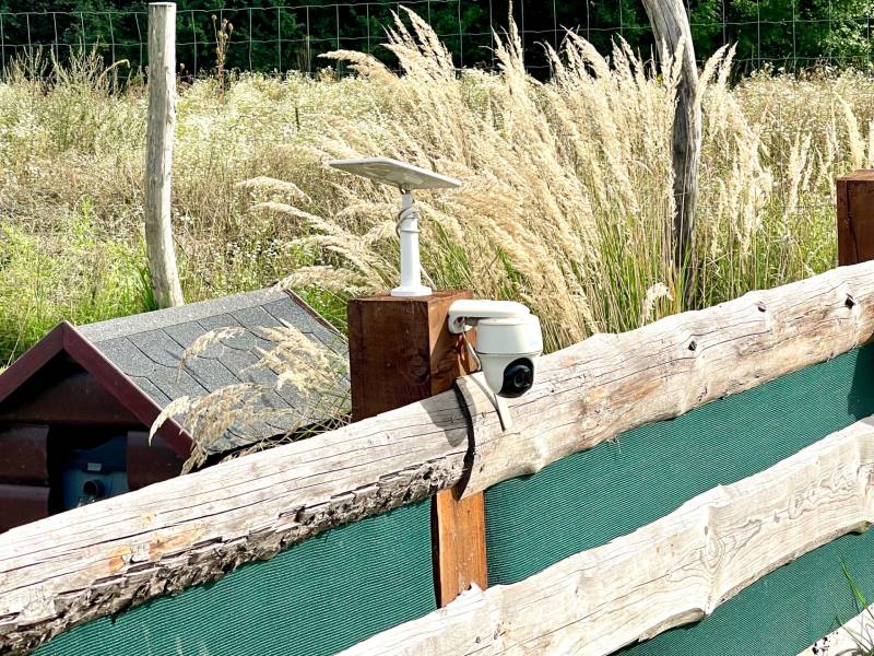 Prodazha Sadovye-uchastki, Sadovye-uchastki, Bratislava - Devínska Nov