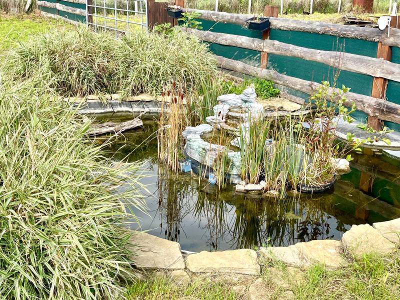 Prodazha Sadovye-uchastki, Sadovye-uchastki, Bratislava - Devínska Nov