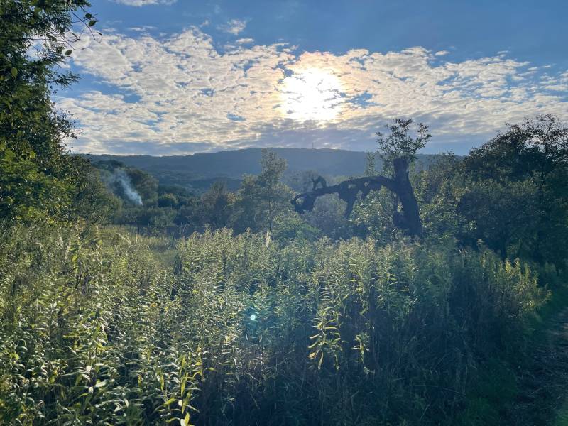 Prodazha Sadovye-uchastki, Sadovye-uchastki, Bratislava - Dúbravka, Sl