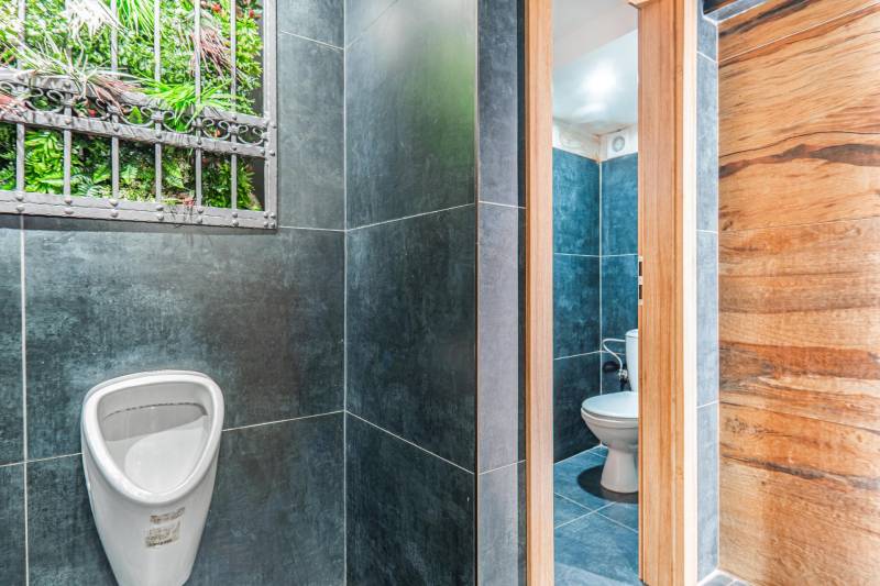 Prodazha oteli-i-pansionaty, oteli-i-pansionaty, Hollého, Skalica, Slo