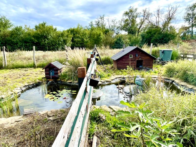 Prodazha Sadovye-uchastki, Sadovye-uchastki, Bratislava - Devínska Nov