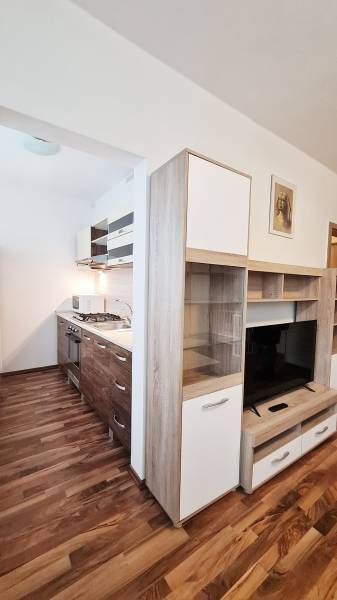 Prodazha 1-komnatnaya, 1-komnatnaya, Tilgnerova, Bratislava - Karlova 