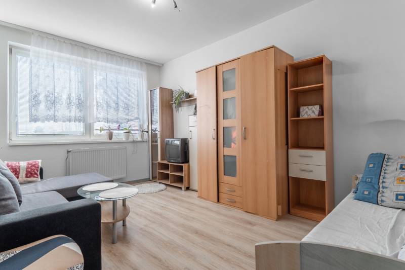 Просторная 3-комнатная квартира с гаражом и садом в Братиславе