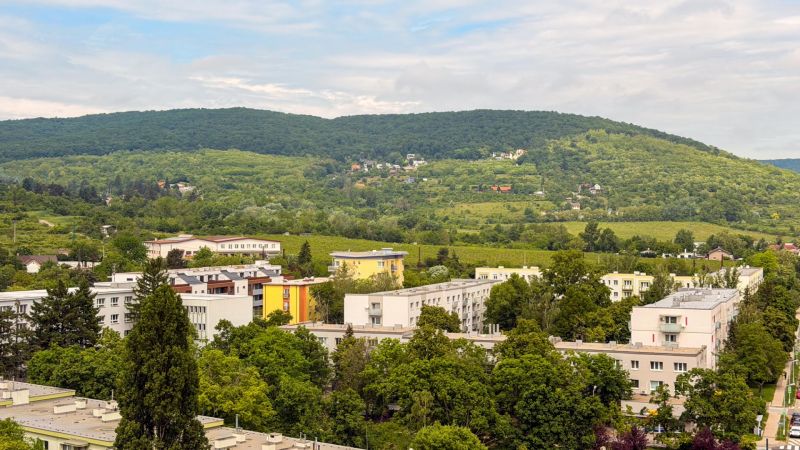 Светлая 3-комнатная квартира с видом на природу в Братиславе